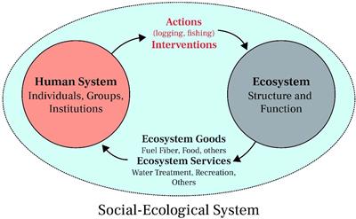 Climate change adaptation strategies for small-scale Hilsa fishers in the coastal area of Bangladesh: social, economic, and ecological perspectives